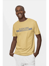 Power Supima T-Shirt Beige - Fitaiim
